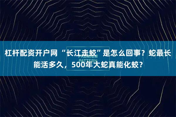 杠杆配资开户网 “长江走蛟”是怎么回事？蛇最长能活多久，500年大蛇真能化蛟？