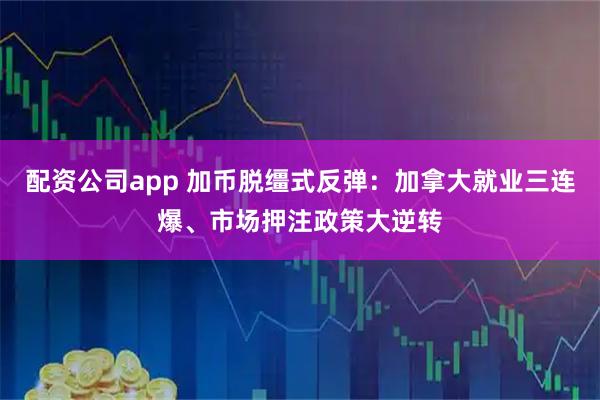 配资公司app 加币脱缰式反弹：加拿大就业三连爆、市场押注政策大逆转