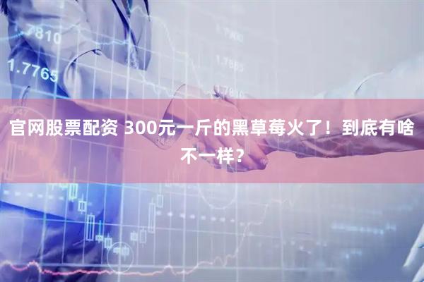 官网股票配资 300元一斤的黑草莓火了！到底有啥不一样？