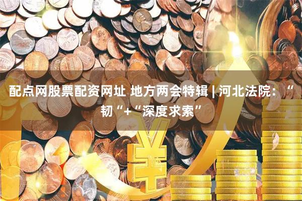 配点网股票配资网址 地方两会特辑 | 河北法院：“韧“+“深度求索”