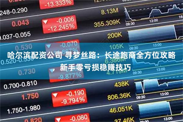 哈尔滨配资公司 寻梦丝路：长途跑商全方位攻略，新手零亏损稳赚技巧